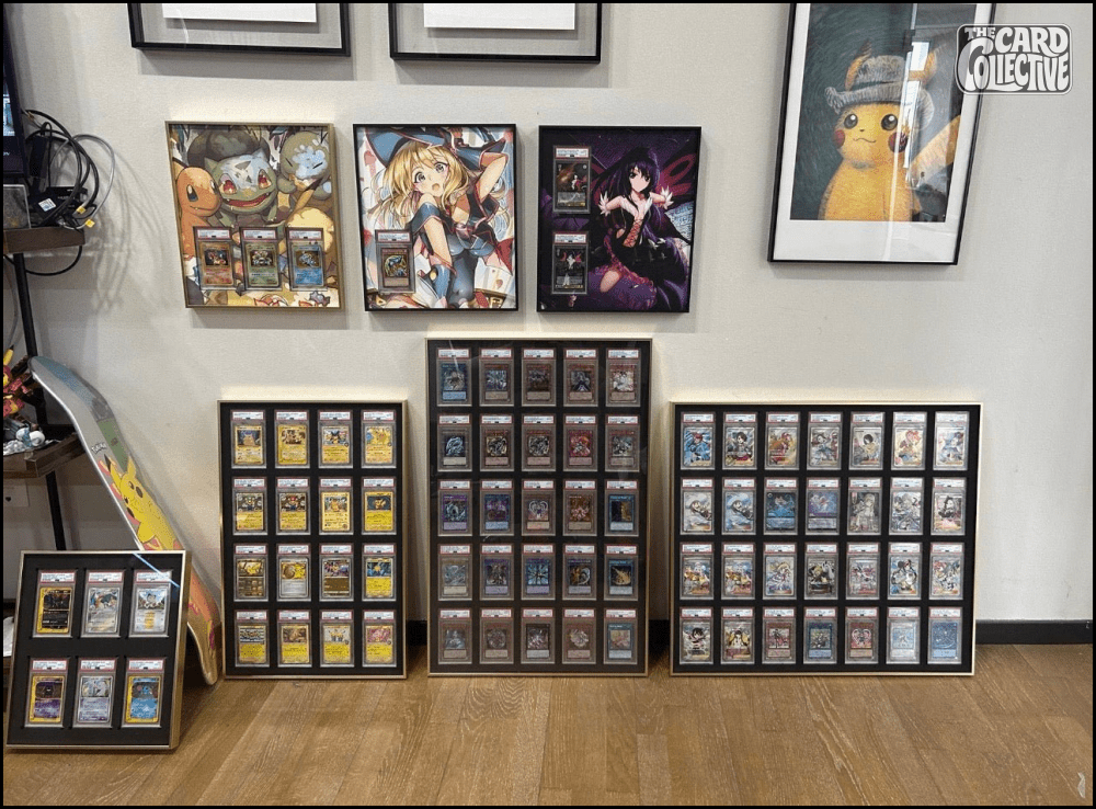 The Ultimate Guide to Premium Aluminium Trading Card Displays: Colours, EVA Foam & UV Protection - The Card Collective
