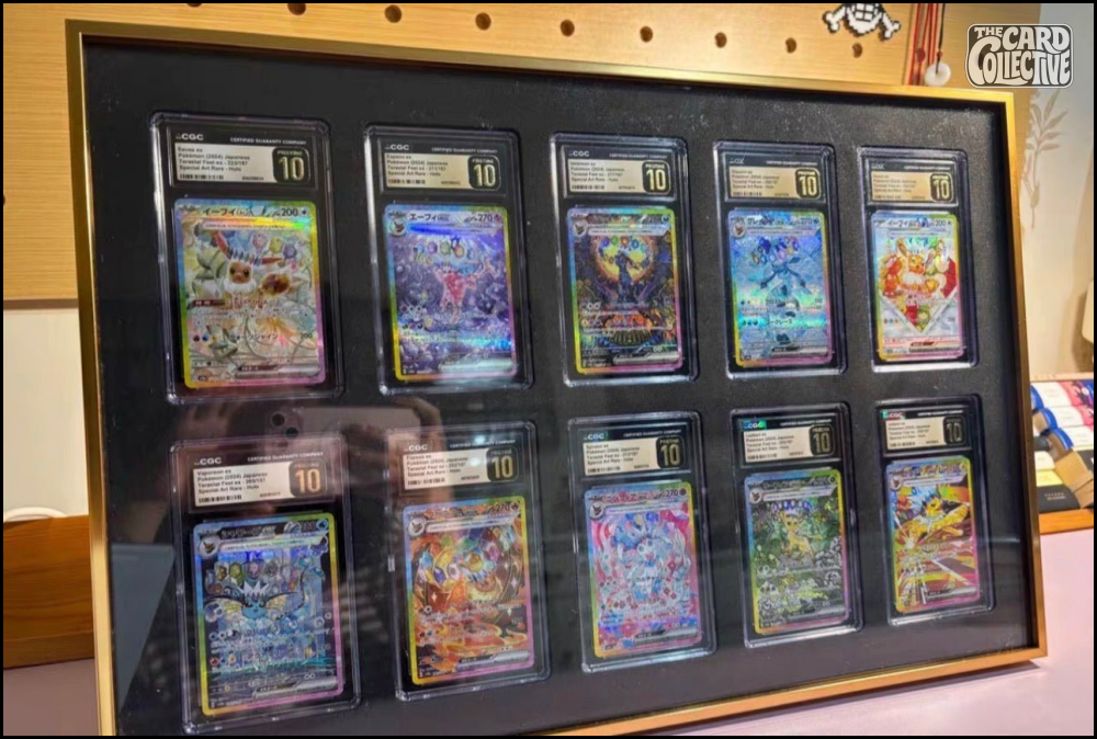 How to Protect and Display Trading Cards at the Same Time - The Card Collective